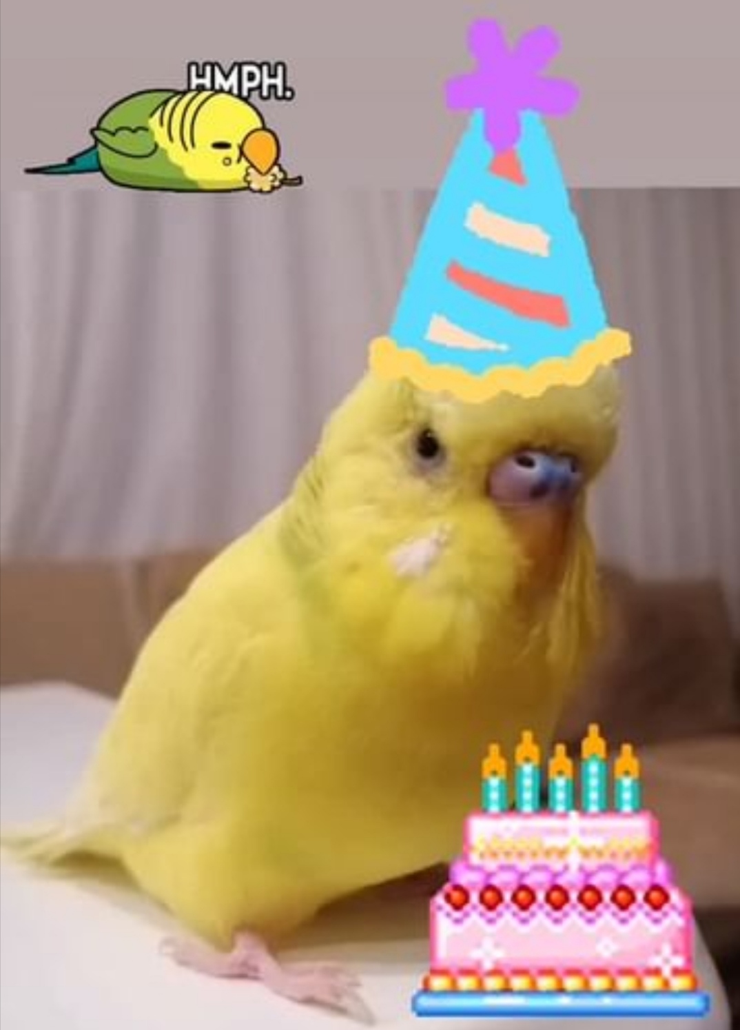 Çapkın 3 Yaşında 🐥🎉🎂